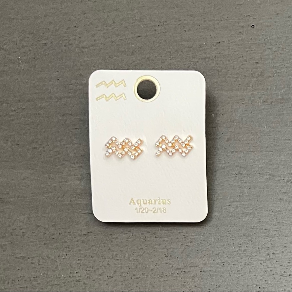 ♒️🏺Aquarius Astrological Zodiac Sign Crystal Silver Earrings Jan 20 - Feb 18